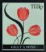 Picture of The Tulip