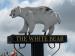 Picture of The White Bear