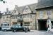 The Swan
