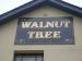 Picture of The Walnut Tree