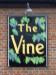 Picture of The Vine