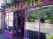 Picture of The Purple Turtle
