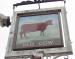 Picture of Red Cow