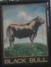 Black Bull Hotel picture