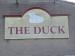 Picture of The Duck
