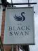 Picture of The Black Swan