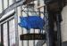 Picture of Blue Pig