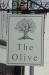 Picture of The Olive