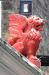 Picture of Red Lion