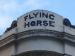 Picture of The Flying Horse