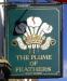Picture of The Plume of Feathers