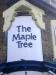 Picture of The Maple Tree