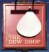 Picture of Dew Drop