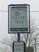 Olive Tree picture