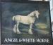 Picture of Angel & White Horse