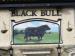 Picture of Black Bull