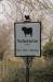 Picture of The Black Bull Inn