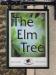 Picture of The Elm Tree