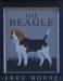 Picture of The Beagle