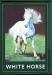Picture of White Horse