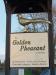 Picture of The Golden Pheasant