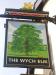 Picture of Wych Elm