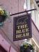 Picture of The Blue Bear