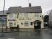 Royal Oak picture