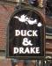 Picture of Duck & Drake