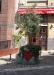 Picture of The Bleeding Heart Tavern
