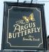 Picture of The Argus Butterfly