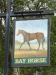 Picture of Bay Horse