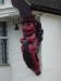 Red Lion picture