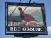 The Red Grouse
