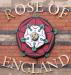 Picture of The Rose of England