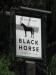 Picture of Black Horse