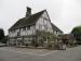 The Tudor Rose picture
