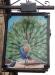 Picture of The Peacock