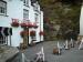 Picture of Crown Inn