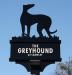 Picture of Greyhound
