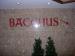 Picture of Bacchus Bar