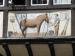 Picture of Harvester The Horse & Groom