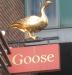 Picture of The Goose