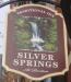 Picture of Silver Springs