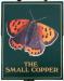 The Small Copper picture