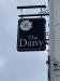 Picture of The Daisy