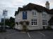 Picture of The Bluebell