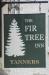 Picture of The Fir Tree