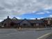 The Roebuck