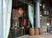 The Botanist picture